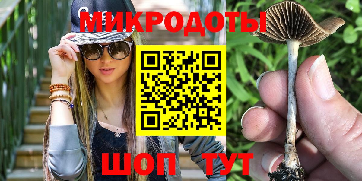 Псилоцибиновые грибы ЛСД Салехард