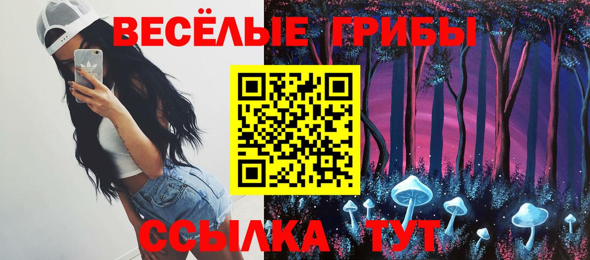 Псилоцибиновые грибы GOLDEN TEACHER  Вход с VPN  Салехард 