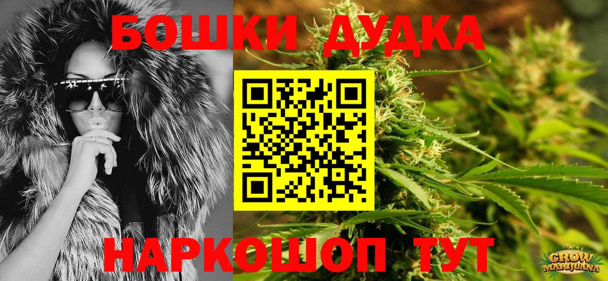 Каннабис индика Салехард